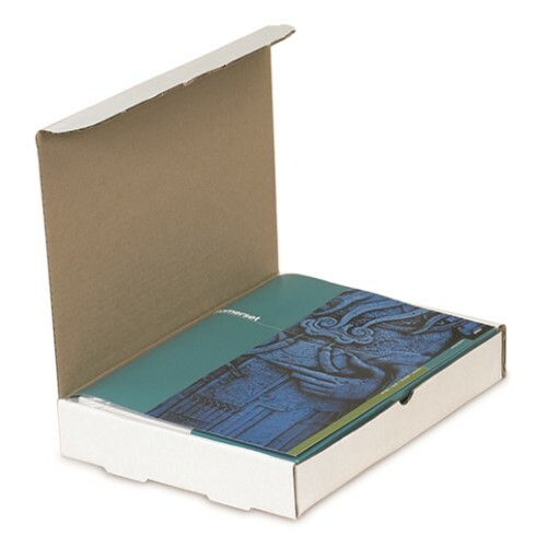 100 – 15 1/8×11 1/8×2″ Protective Literature Mailer- White