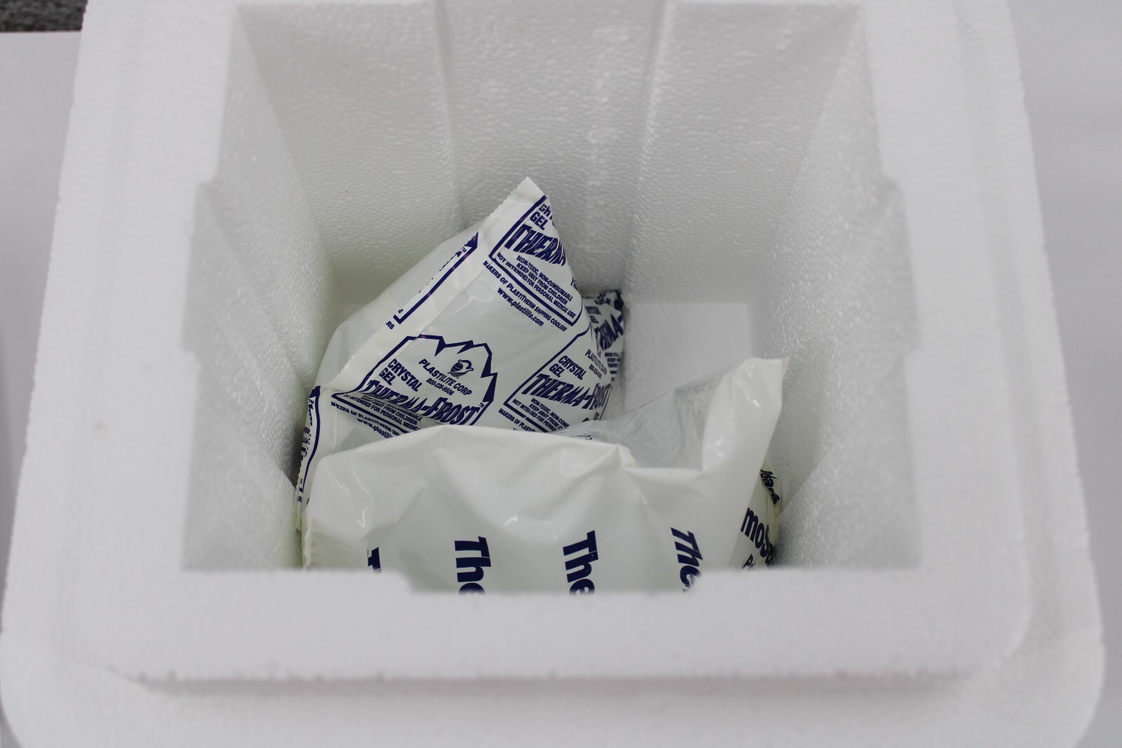 Insulated Styrofoam Cooler Shipping Kit With 2 Ice Packs & Ship Box ID 8X6 5/8X6