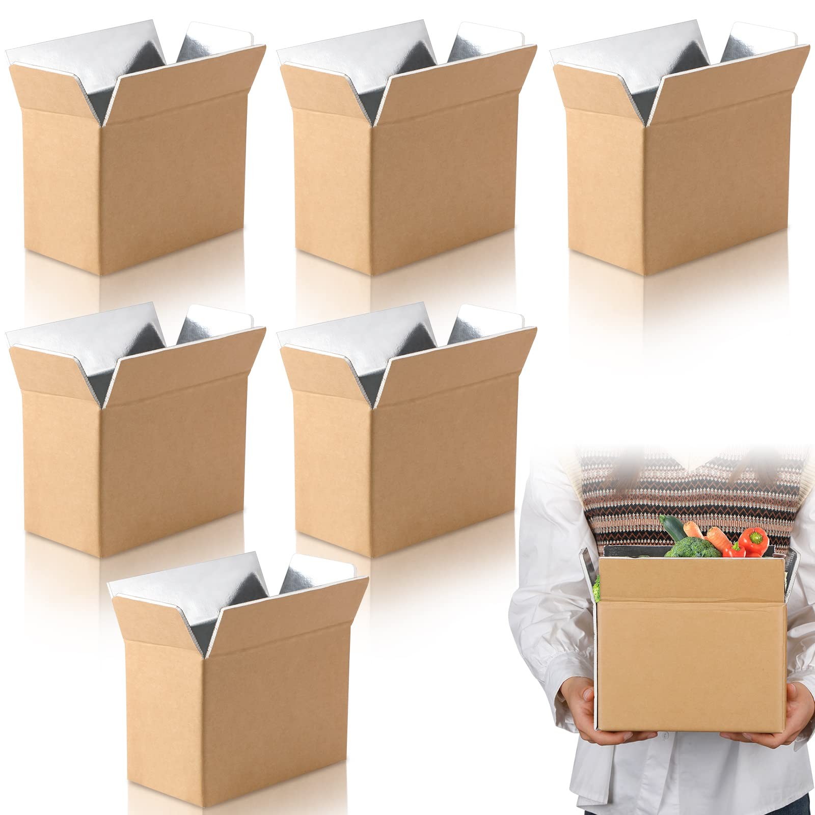 Insulated Shipping Boxes Foil Foam Cooler Carton Inside 8.7×4.5×6.1 In 6 PCS