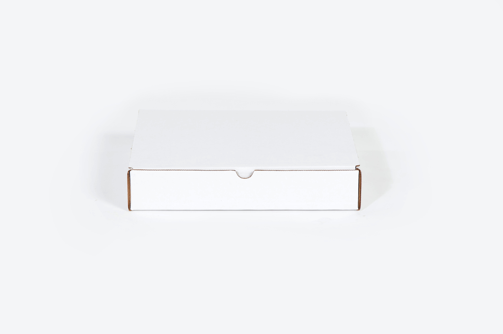 9 x 6 1/2 x 2 3/4″ Protective Literature Mailer White 50/Case