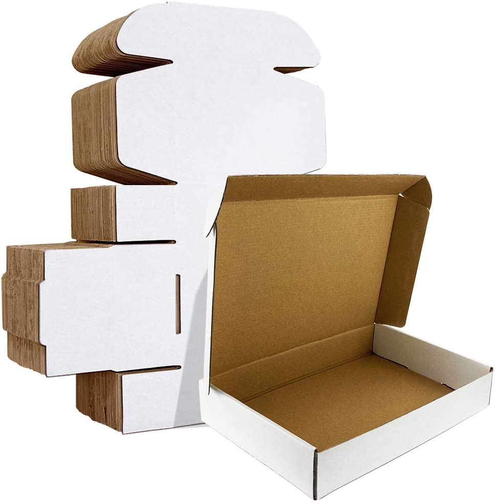 12X9X3 Inches Shipping Boxes Set of 20, White Corrugated Cardboard Box Literatur