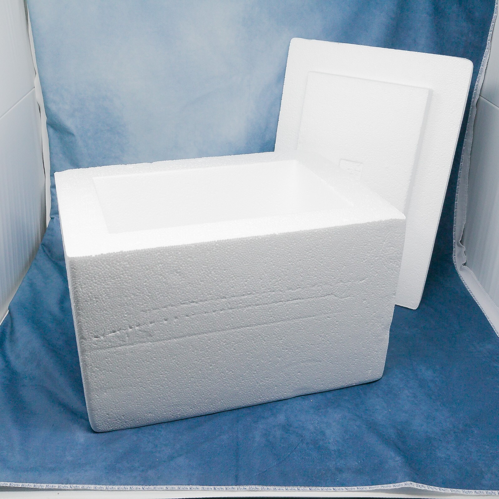 Styrofoam Insulated Shipping Mailer Cooler + 3 Ice Packs : PERISHABLES MEDS FOOD